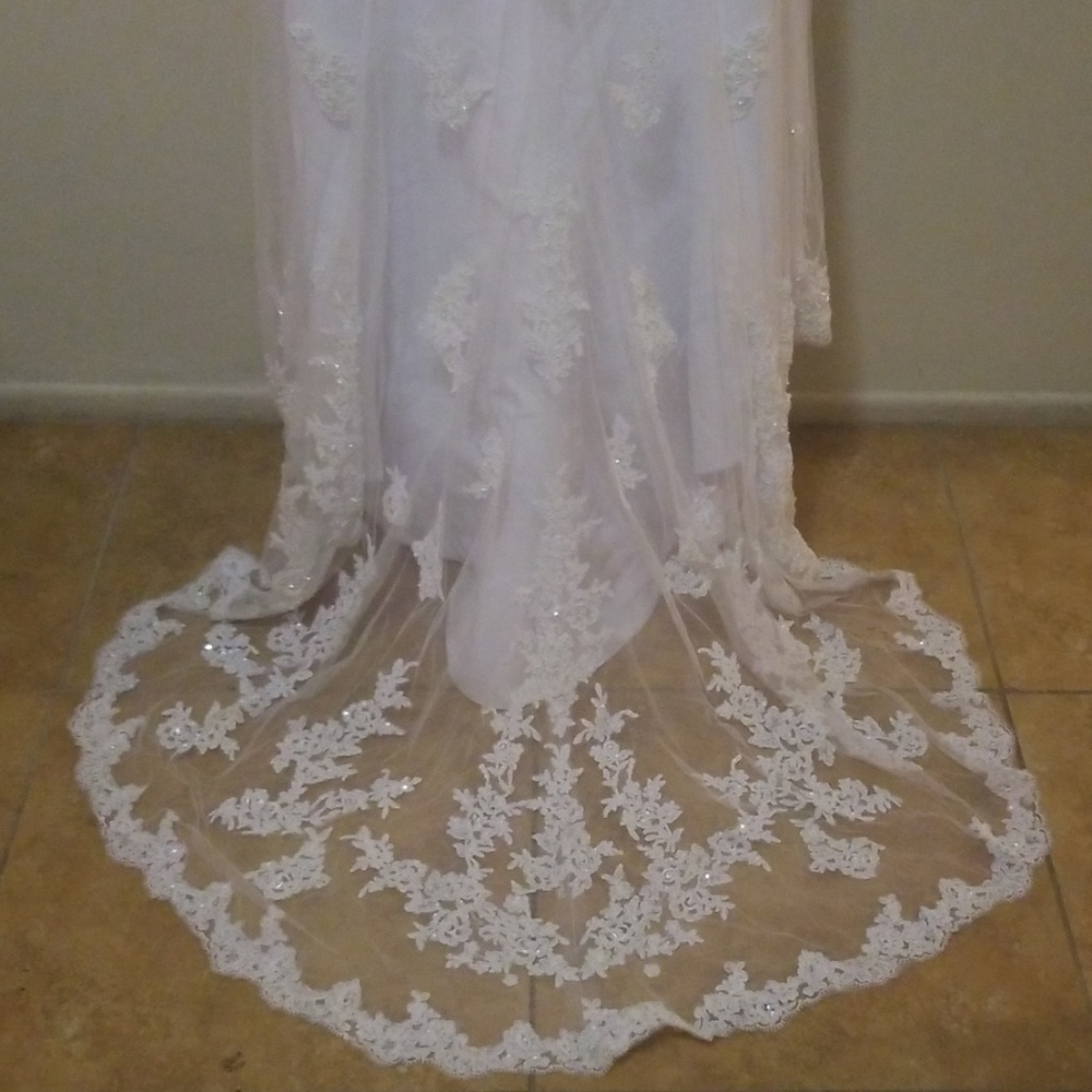 David's Bridal Wedding dress - Picture 1 of 7